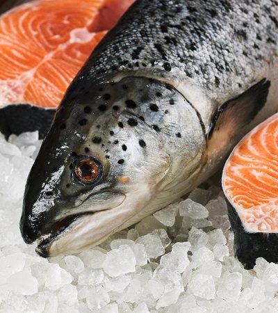 Atlantic Salmon